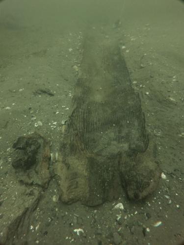 Ancient canoe