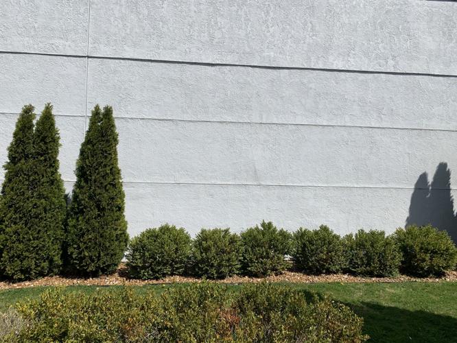 Members of the Lake Geneva Plan Commission have approved a site plan review request for a mural to be installed on the Melge's Real Estate building