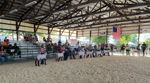 Sheep show at Kenosha County Fair