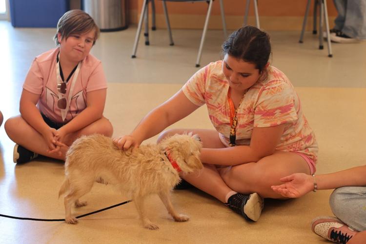 Piper Williams pets Keke at Wisconsin Humane Society
