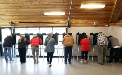 Voting at Elver Park (copy) (copy) (copy)