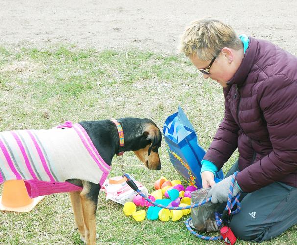 Doggie Egg Hunt