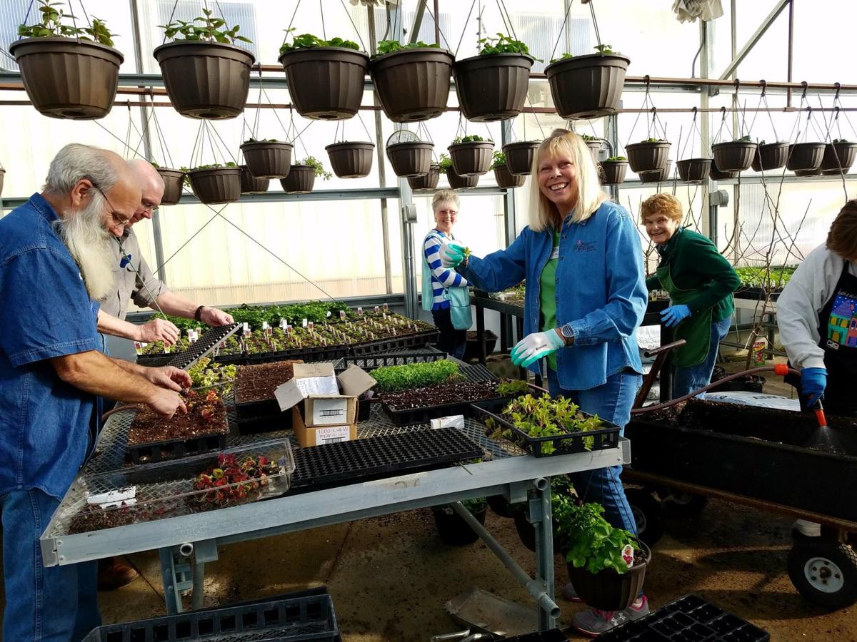 Walworth County master gardeners