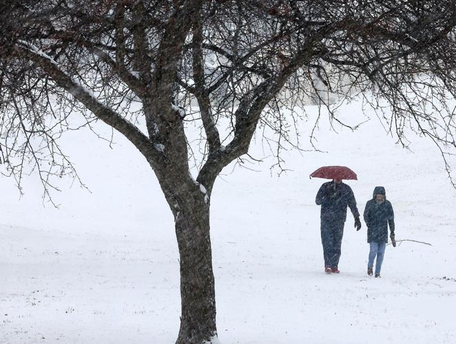 Winter Weather 02-20250212-31177.jpg