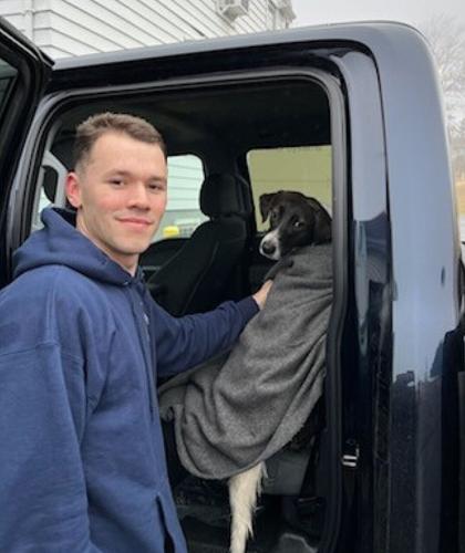 Dog rescue