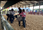 Sheep show at Kenosha County Fair