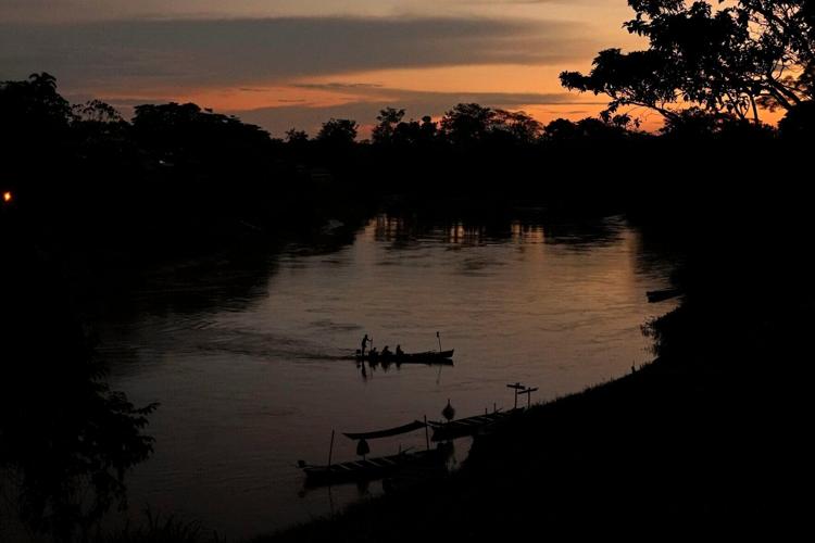 Amazon Rainforest Explainer