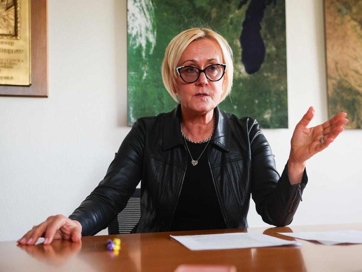 Vice Chancellor for Research Dorota Grejner-Brzezińska