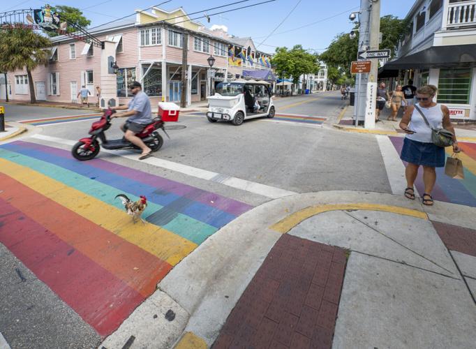 Rainbow Crosswalk Removed