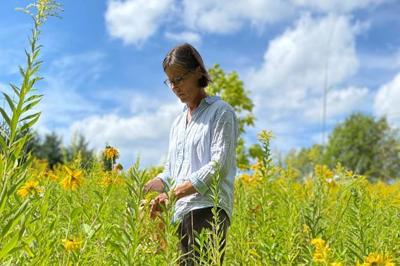 Wisconsin DNR Rare Plant Monitoring Program volunteer surveying in the field