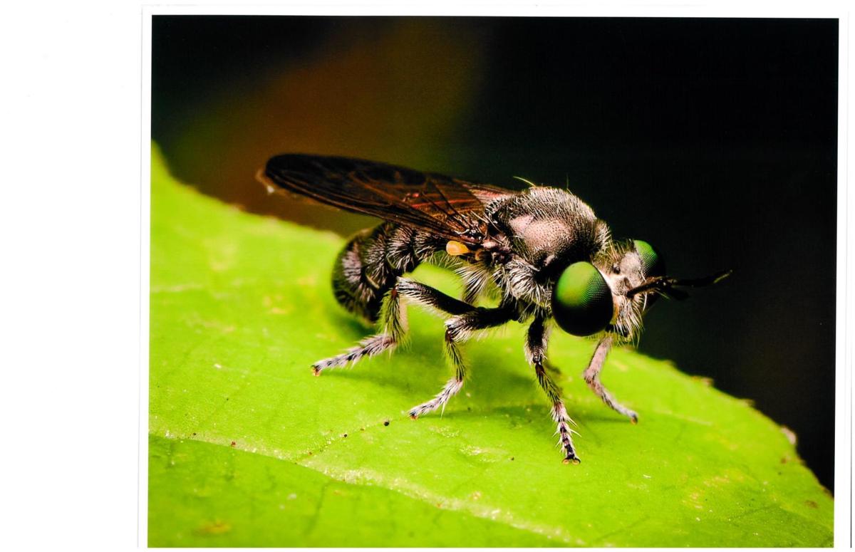 Tim Kohman won 3rd place in the 22+ age group