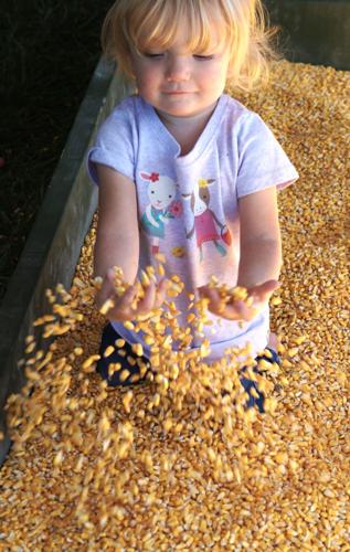 Playing in the corn crib