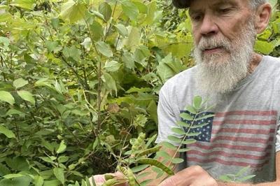 Wisconsin DNR Rare Plant Monitoring Program volunteer George Riggin