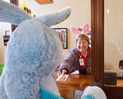 Bunny Train