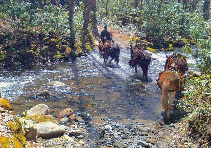 Mule team -- Challenging terrains
