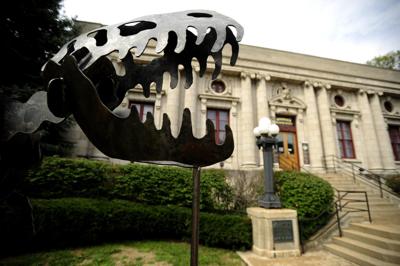 DINOSAUR MUSEUM