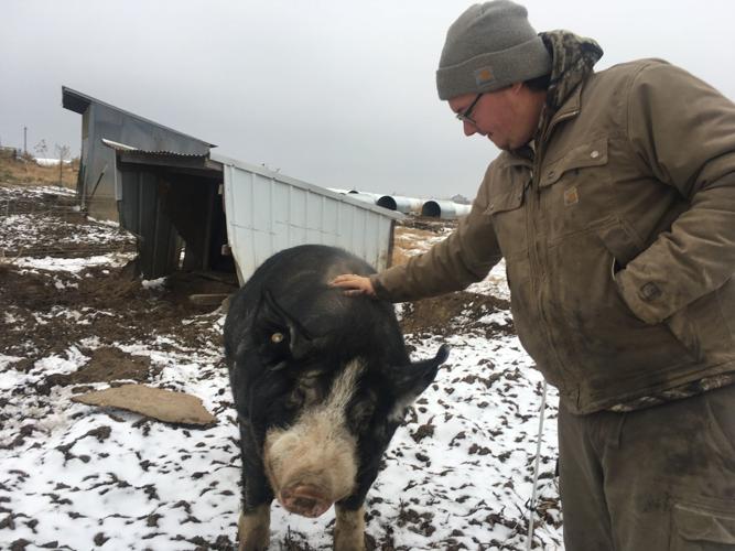 Driftless concerns over proposed transmission lines and towers