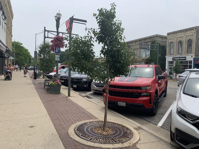 City officials have reported that several trees in the Downtown area have been removed