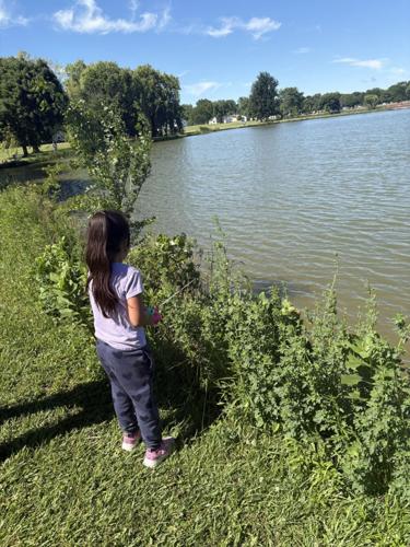 Fish N'Fun