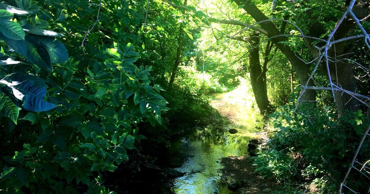 Funding available to address PFAS contamination - Vimarsana News