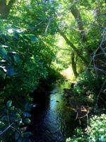 Funding available to help communities address PFAS contamination in wastewater