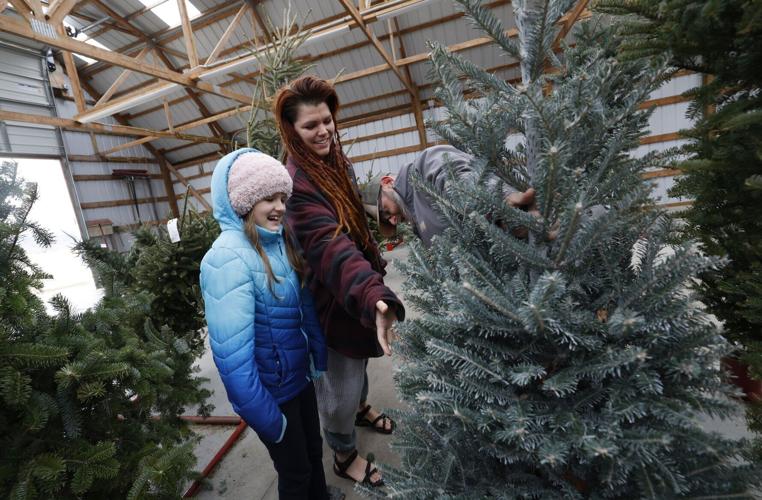 The last-minute search