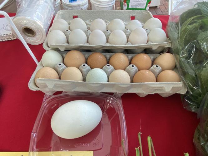 Dane County Farmers Market