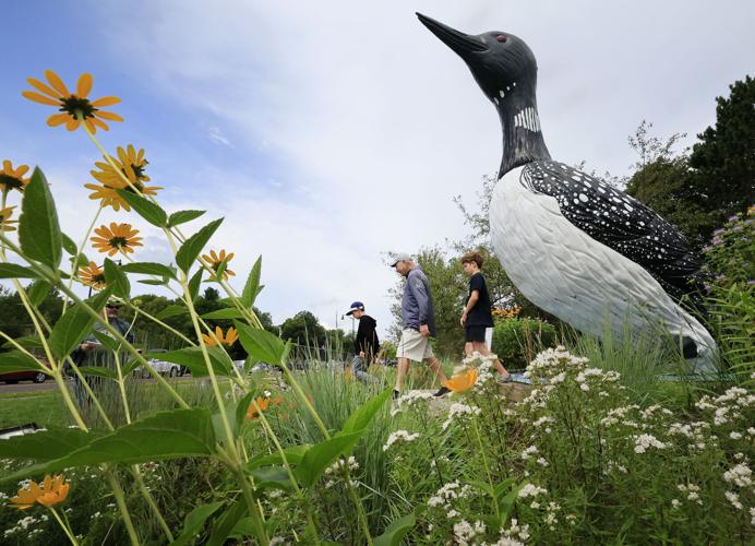 Loon Day