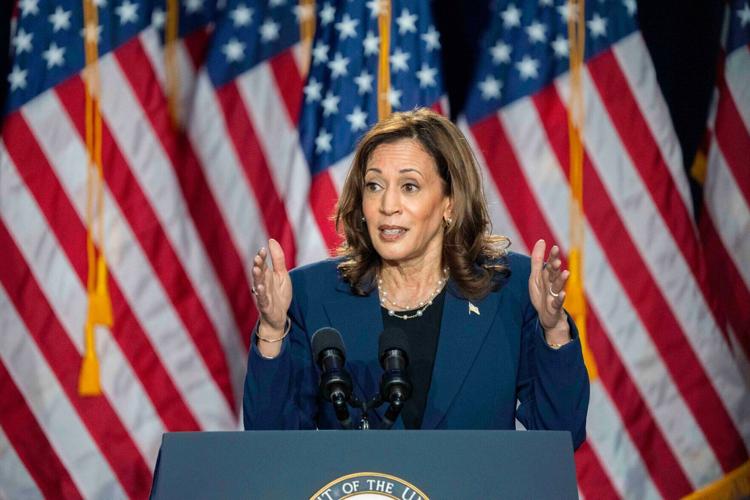Election 2024 Harris Wisconsin