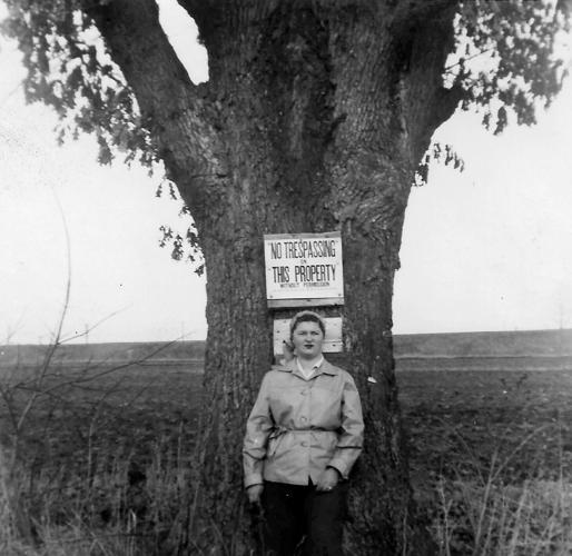 Historic Oak