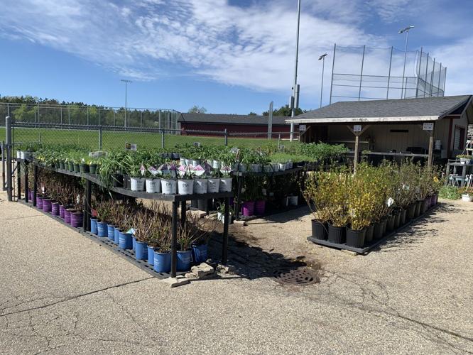 The annual Badger High School greenhouse sale features a variety of plants for people to purchase