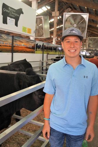 Landon Rehberg of Elkhorn auctioning his cross-bred steers at the 2022 Walworth County Fair