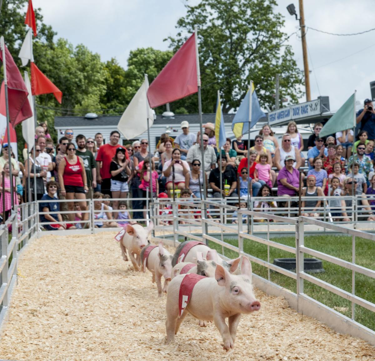 County fair file photo