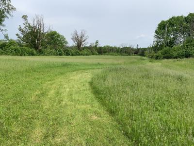 The entrance of the green path has a view of trees, grassy areas and other types of landscapes