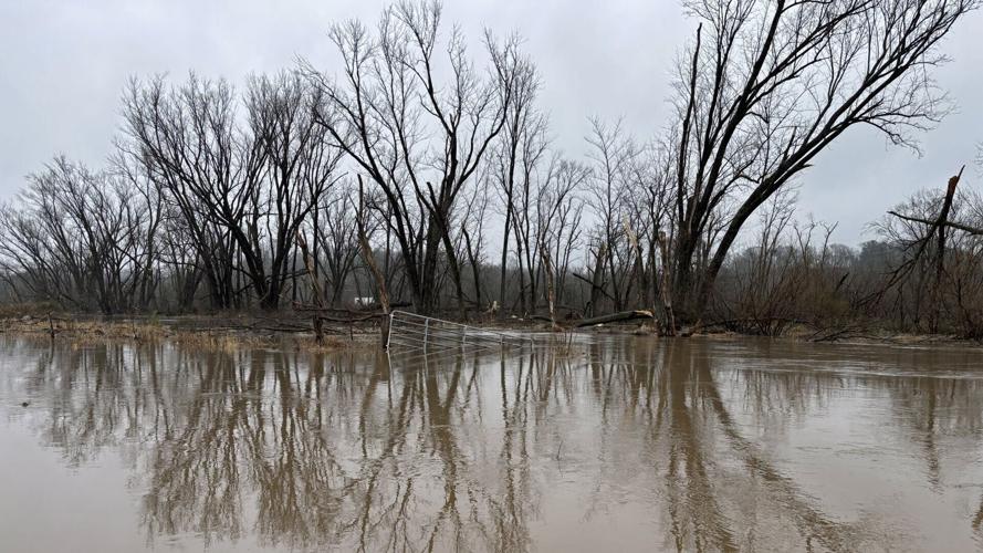 A new marsh in Juneau County