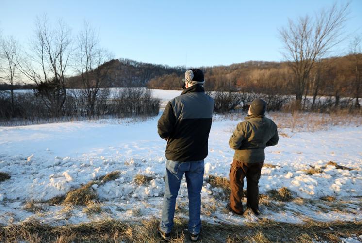 Eagle Counting