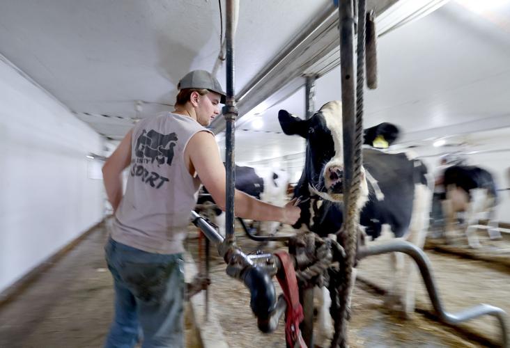 Dairy-Breakfast-Farm-05-20260609-237135.jpg