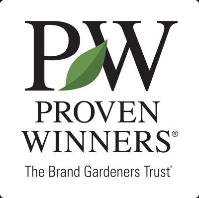 Celebrate America's 250th Birthday with Proven Winners® Patriotic Plant Combos