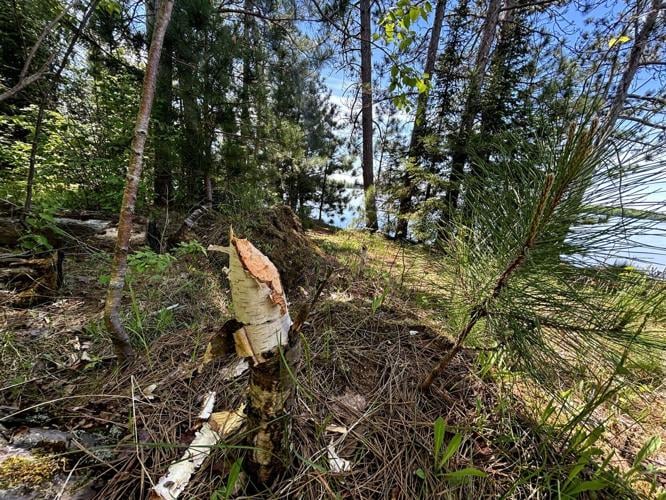 Turtle-Flambeau Flowage marks 100 years 11