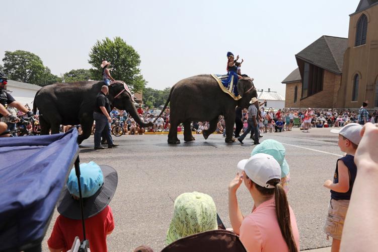 Circus parade with Viola photo 3