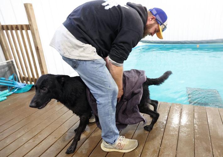 DogSwim-20261008-05-0174.JPGWIS0004119638.JPG