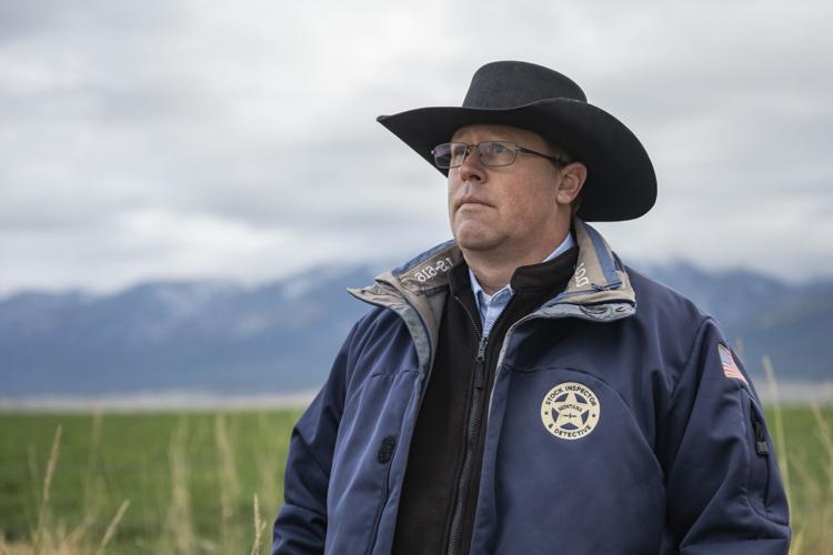 Yellowstone Livestock 8