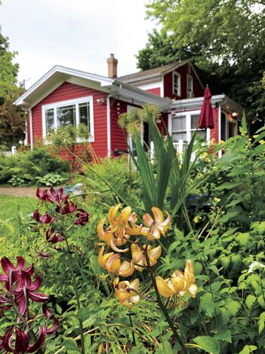 Alive with floral colors