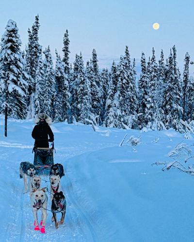 With sled dogs