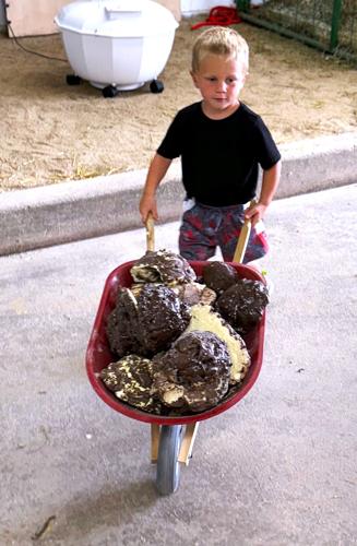 Cleaning up the cow pies