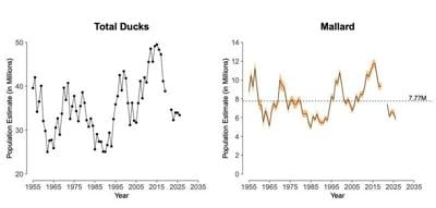 Graphs show estimates of total ducks (left) and mallards from 1955 to 2026 in the index area of North America.