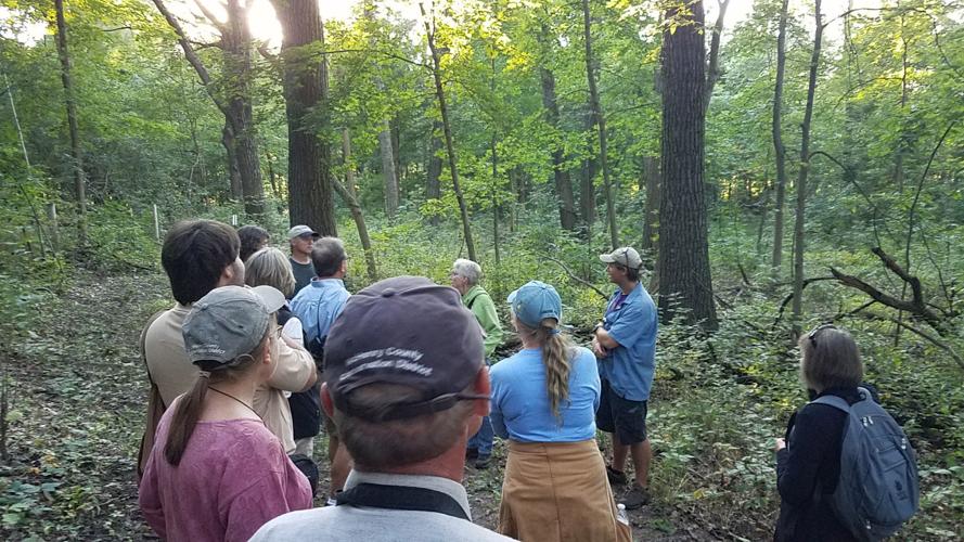 Hackmatack Genoa City woods