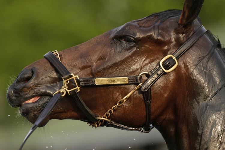 Kentucky Derby-Horse Athleticism