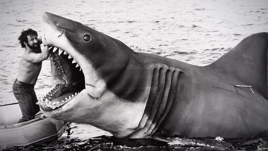 Jaws at 50