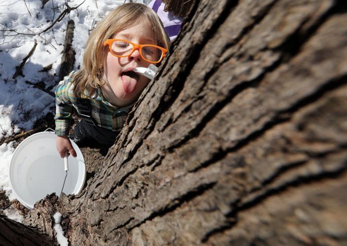 20230314-01-WildHarvestAJA0048-03142023155917 (copy)